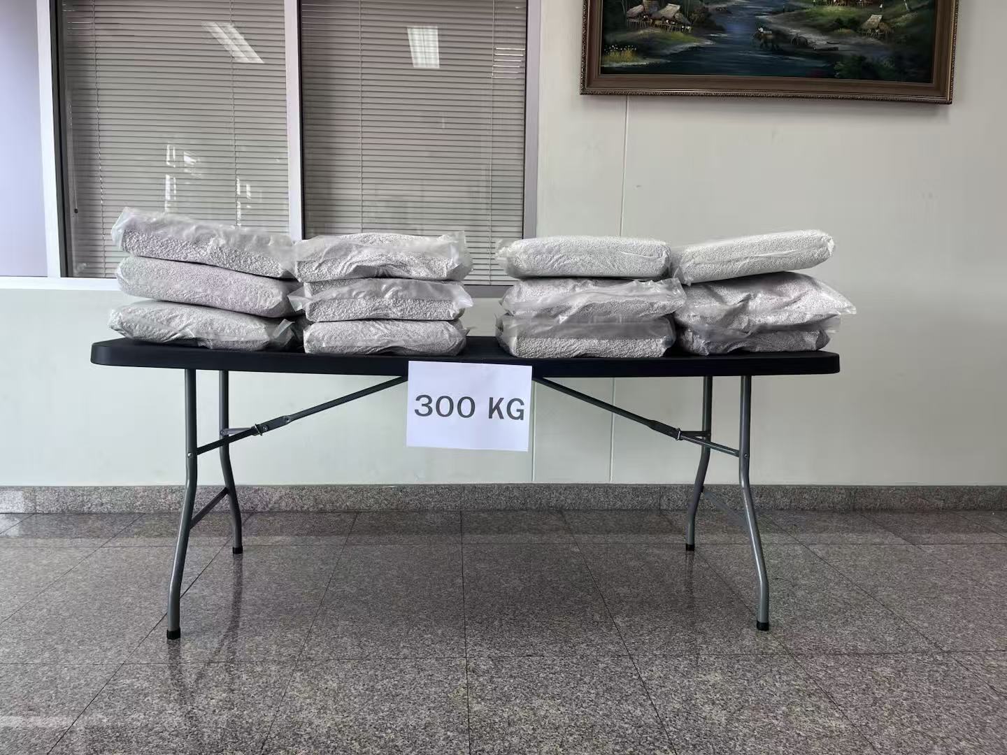 BTE-3072H 300 KG Static Load Test Passed